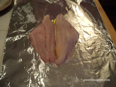 Catfish Baked on Grill